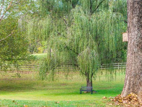 Tiny photo for 327 Hans Hill Drive, Madison Heights, VA 24572 (MLS # 364192)