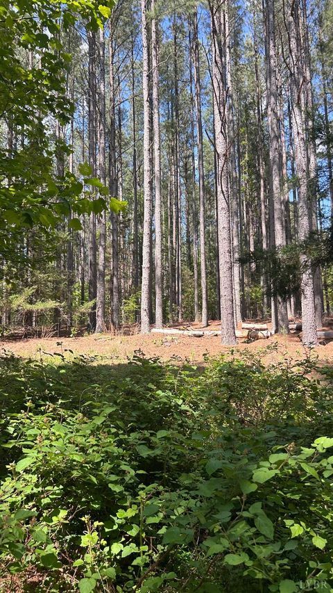 Photo of 4 Foxfire Lane, Bedford, VA 24523 (MLS # 366486)