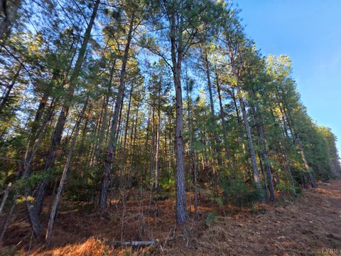 Photo of 0 Mountain Creek Road, Meherrin, VA 23954 (MLS # 363311)