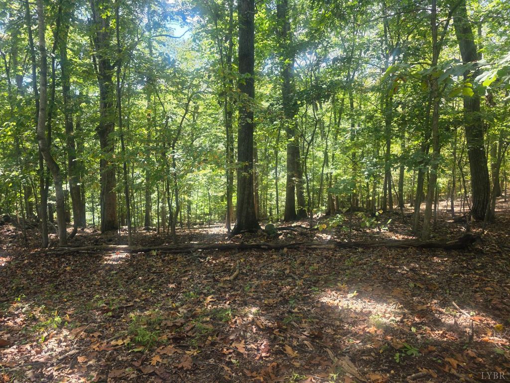 Photo for 0 Audubon Drive, Lynchburg, VA 24503 (MLS # 362163)