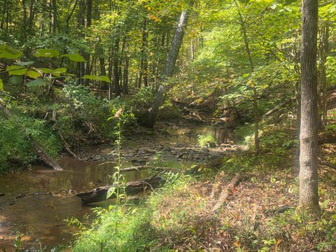 Tiny photo for 0 Audubon Drive, Lynchburg, VA 24503 (MLS # 362163)