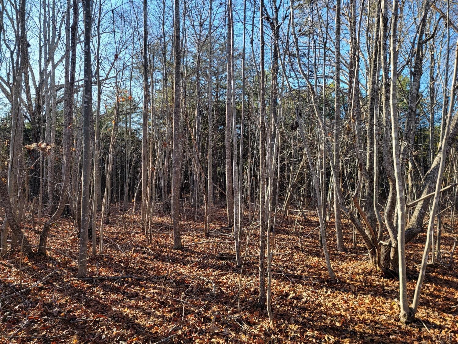 7 Lewis Ford Road, Brookneal, Virginia image 3