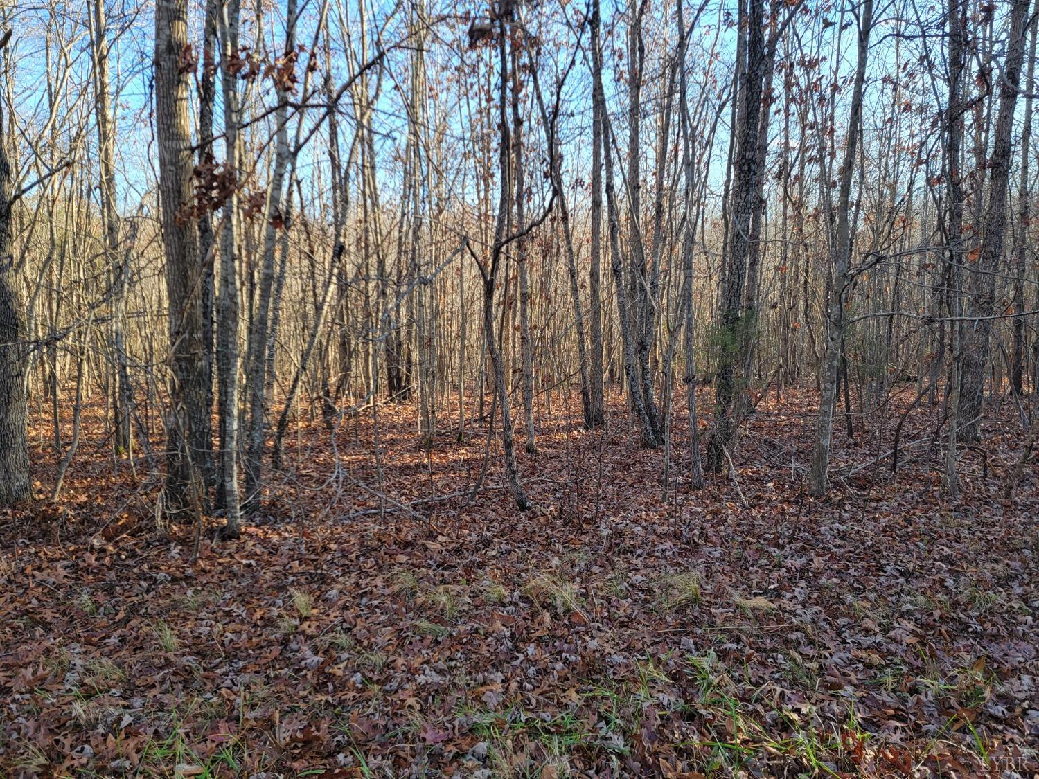 7 Lewis Ford Road, Brookneal, Virginia image 4