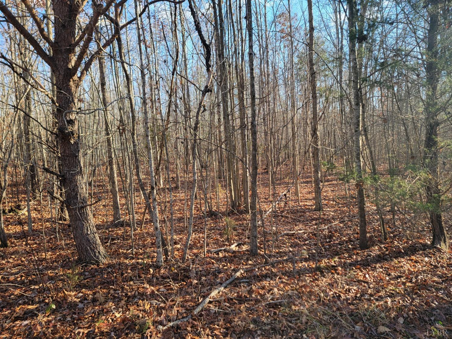 7 Lewis Ford Road, Brookneal, Virginia image 8