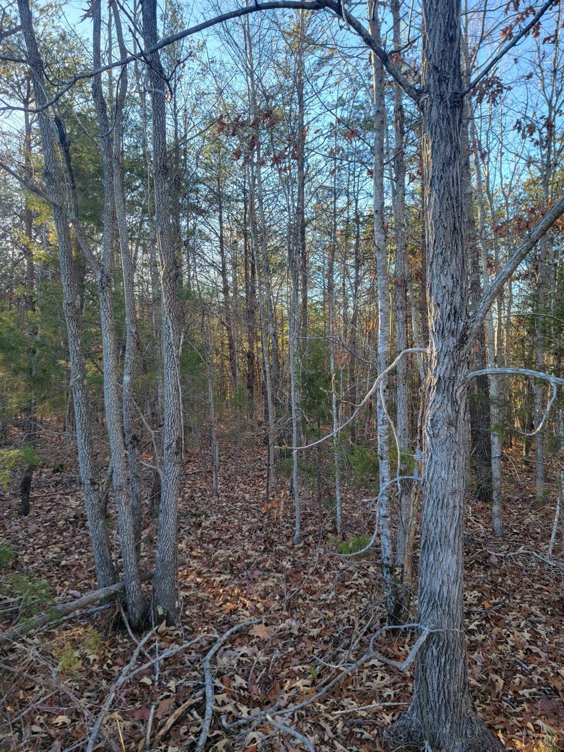 7 Lewis Ford Road, Brookneal, Virginia image 11
