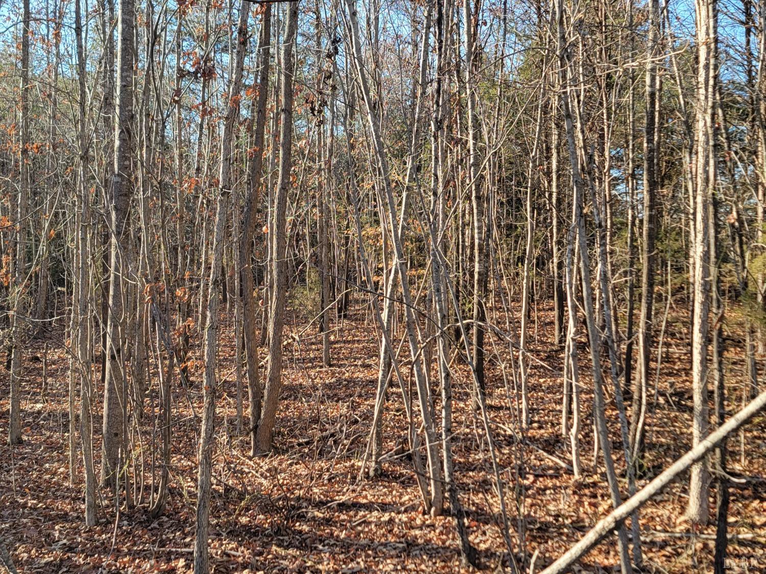 7 Lewis Ford Road, Brookneal, Virginia image 9