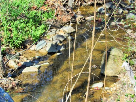 Tiny photo for 1697 S Amherst Highway, Amherst, VA 24521 (MLS # 363731)