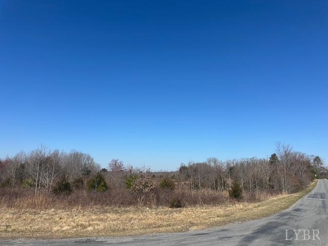 857 Robin Road Rd, Brookneal, Virginia image 1