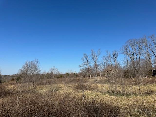 857 Robin Road Rd, Brookneal, Virginia image 7