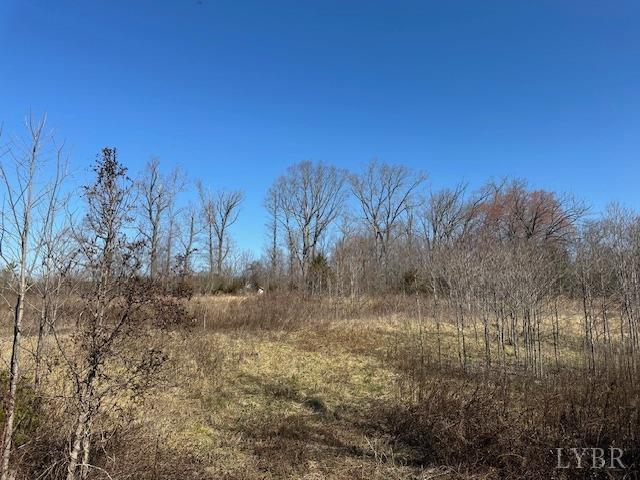 857 Robin Road Rd, Brookneal, Virginia image 9