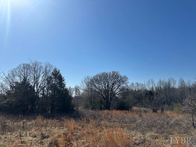 857 Robin Road Rd, Brookneal, Virginia image 3