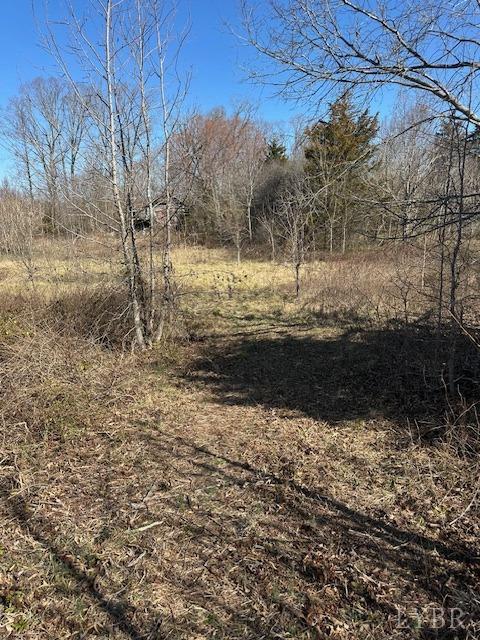 857 Robin Road Rd, Brookneal, Virginia image 6