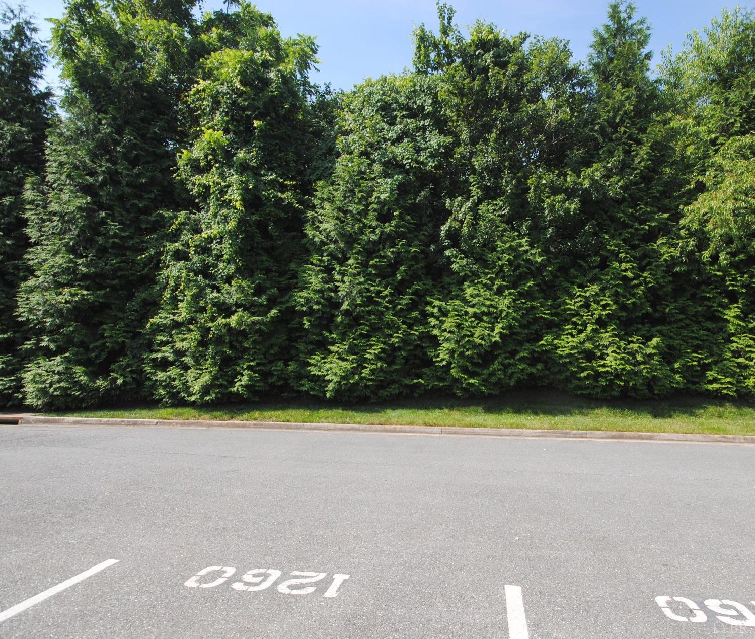 1260 Blue Ridge View Circle, Forest, Virginia image 22