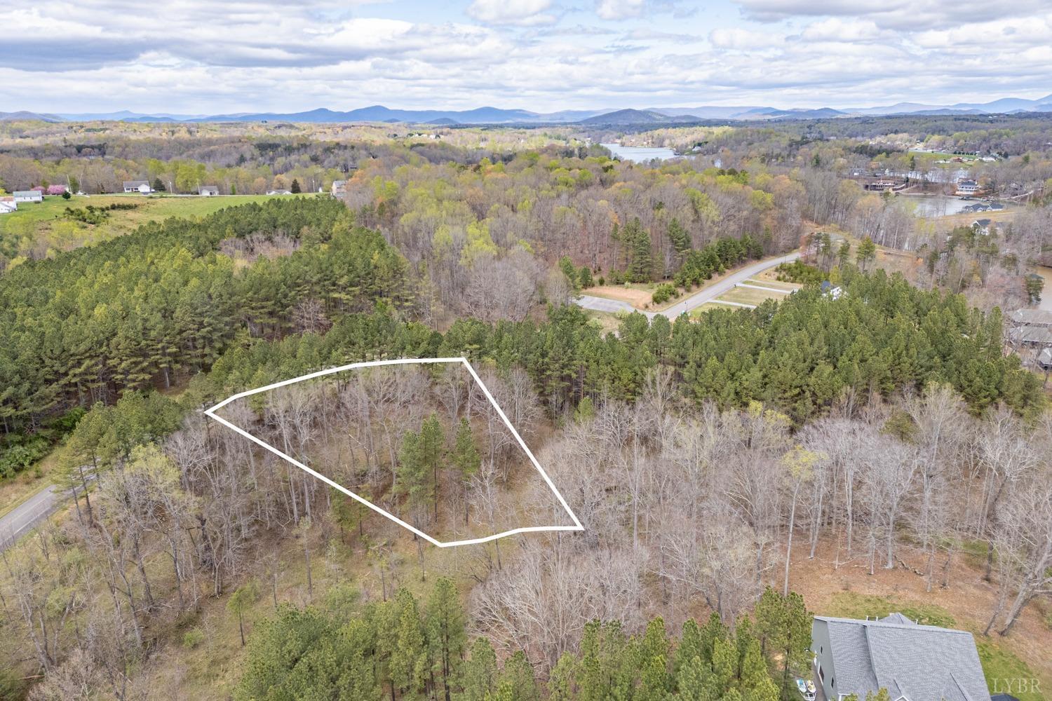 53 Lakewatch Circle, Moneta, Virginia image 10