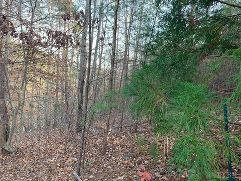 Tiny photo for 0 Lot 284 Waterway CT, Lynch Station, VA 24571 (MLS # 364661)