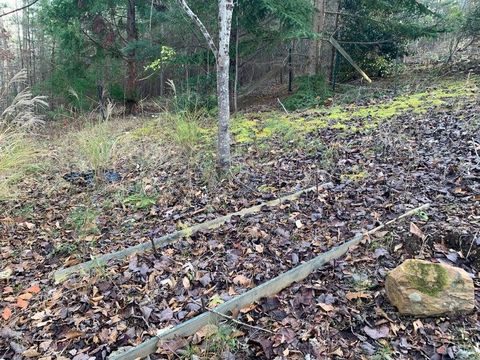 Tiny photo for 0 Lot 284 Waterway CT, Lynch Station, VA 24571 (MLS # 364661)