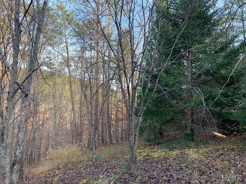 Tiny photo for 0 Lot 284 Waterway CT, Lynch Station, VA 24571 (MLS # 364661)