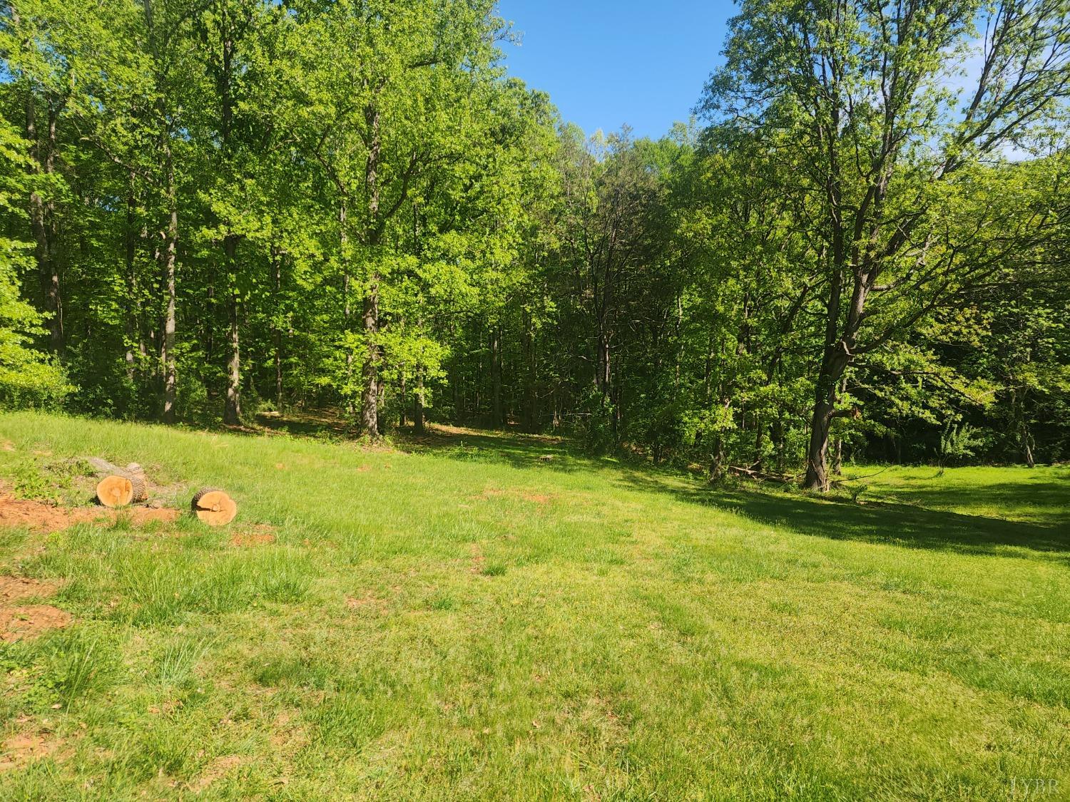 172 Mill Lane Road, Lynchburg, Virginia image 2