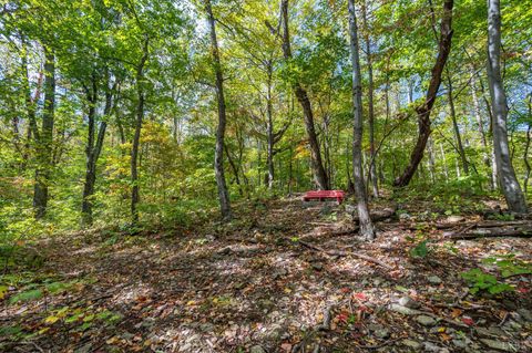 Tiny photo for 1795 Karnes Road, Bedford, VA 24523 (MLS # 362498)