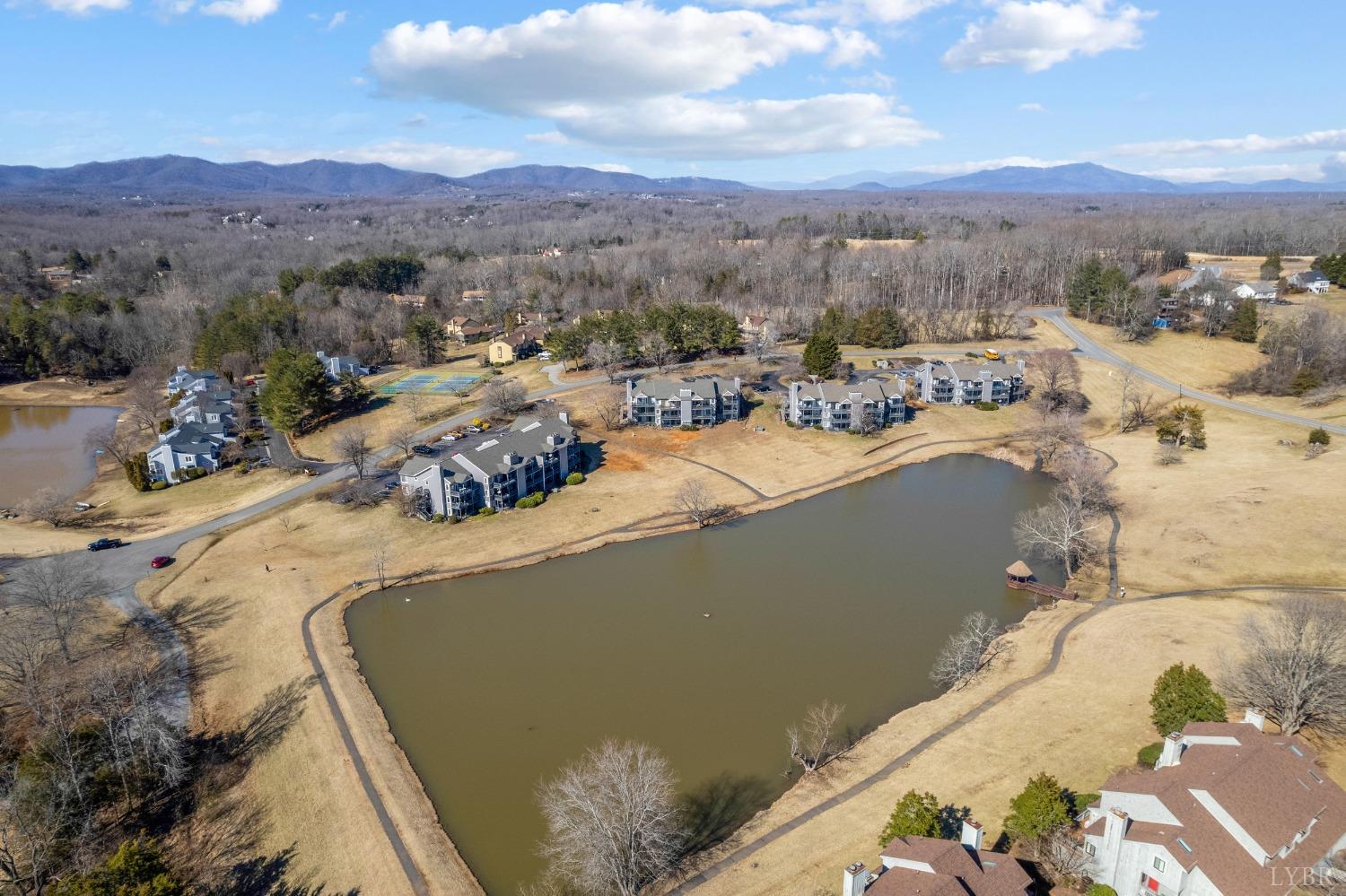 1313 Twin Springs Court, Forest, Virginia image 20