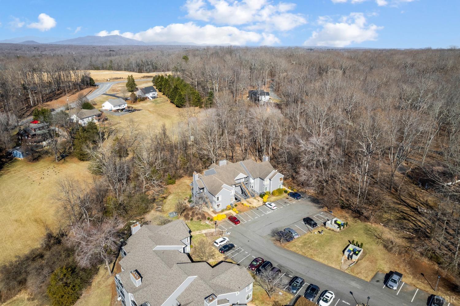 1313 Twin Springs Court, Forest, Virginia image 27
