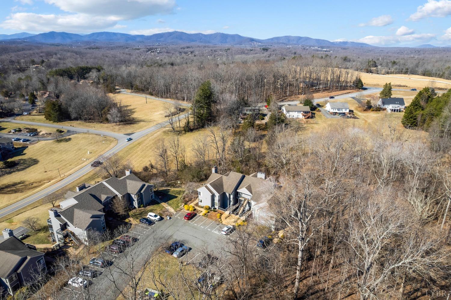 1313 Twin Springs Court, Forest, Virginia image 26