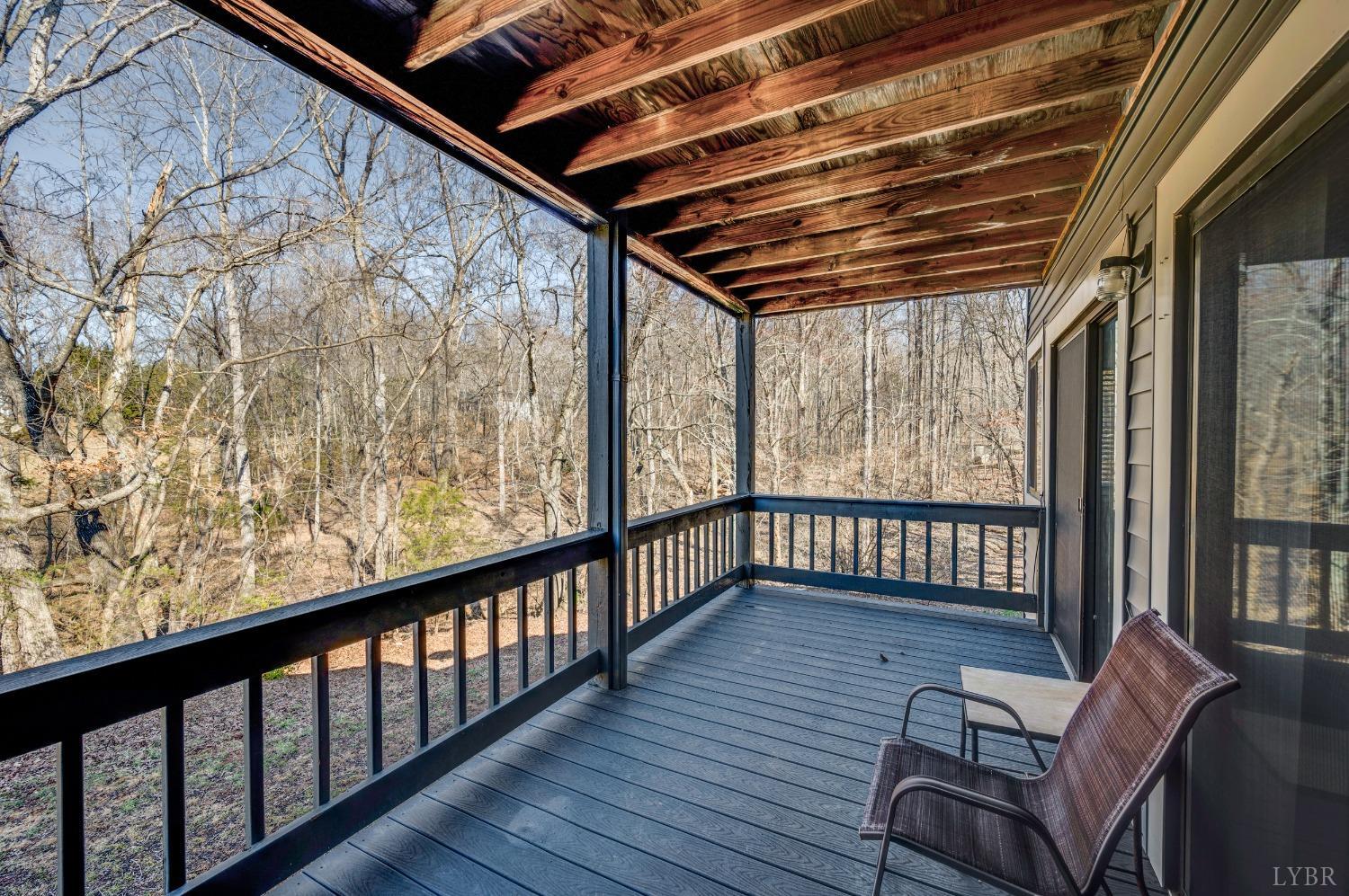 1313 Twin Springs Court, Forest, Virginia image 16