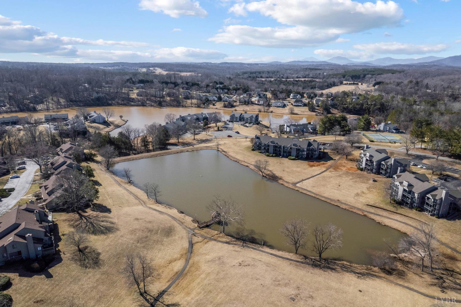 1313 Twin Springs Court, Forest, Virginia image 19