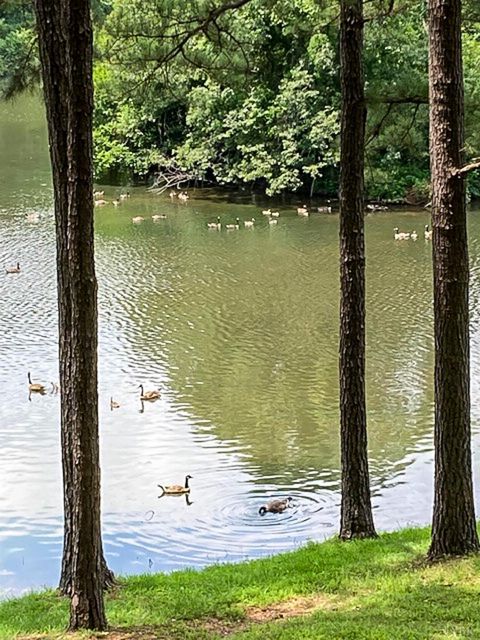 Tiny photo for 409 Lake Vista Drive, Forest, VA 24551 (MLS # 363208)