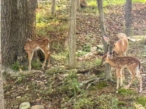 Tiny photo for 409 Lake Vista Drive, Forest, VA 24551 (MLS # 363208)