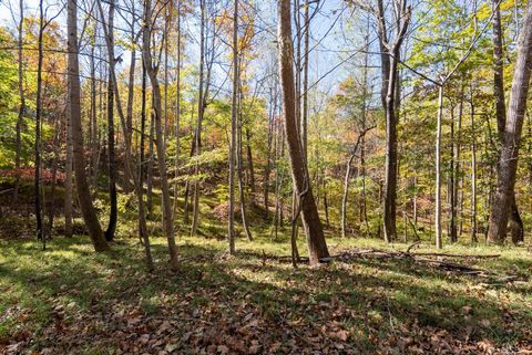 Tiny photo for 214 Riverwood Drive, Madison Heights, VA 24572 (MLS # 362756)