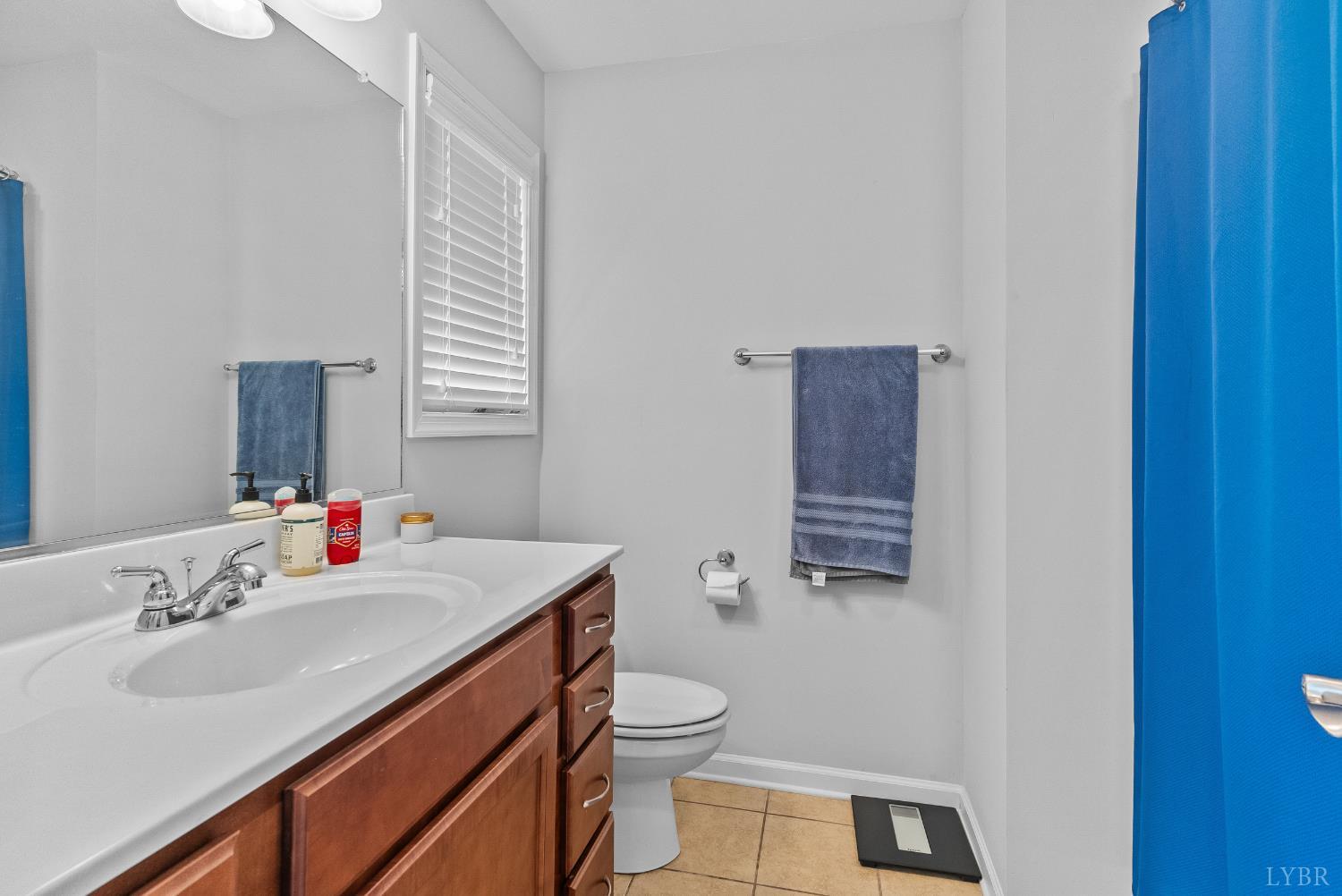 139 Rowse Drive, Lynchburg, Virginia image 27