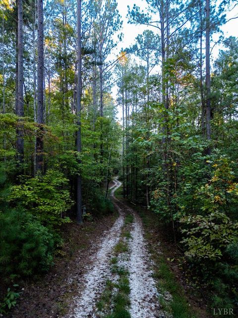 Tiny photo for 4374 Tye River Rd, Amherst, VA 24521 (MLS # 363991)