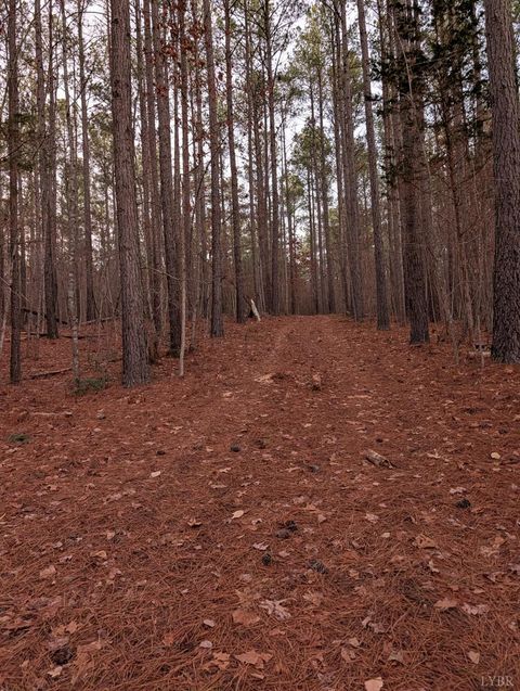 Tiny photo for 4374 Tye River Rd, Amherst, VA 24521 (MLS # 363991)