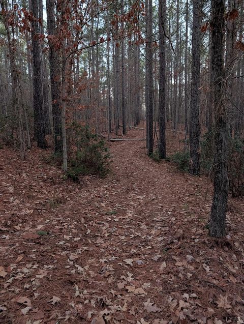 Tiny photo for 4374 Tye River Rd, Amherst, VA 24521 (MLS # 363991)