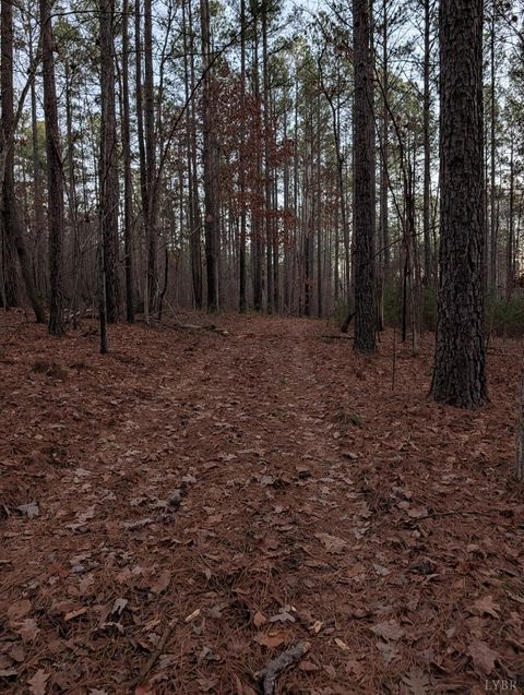 Tiny photo for 4374 Tye River Rd, Amherst, VA 24521 (MLS # 363991)
