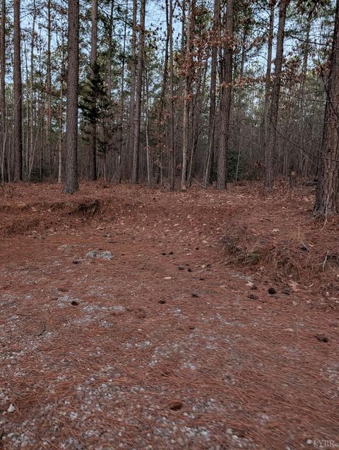 Tiny photo for 4374 Tye River Rd, Amherst, VA 24521 (MLS # 363991)