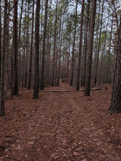 Tiny photo for 4374 Tye River Rd, Amherst, VA 24521 (MLS # 363991)