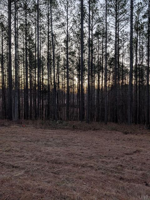 Tiny photo for 4374 Tye River Rd, Amherst, VA 24521 (MLS # 363991)