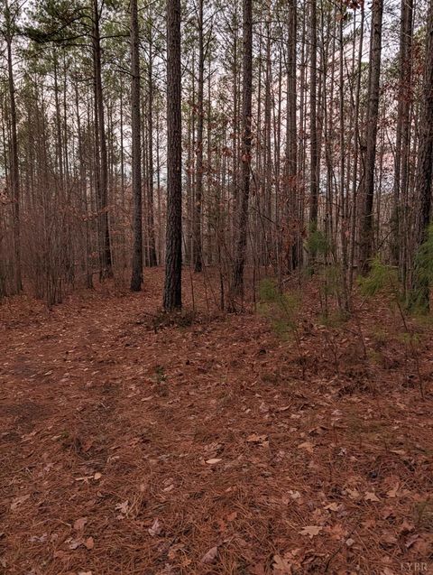 Tiny photo for 4374 Tye River Rd, Amherst, VA 24521 (MLS # 363991)
