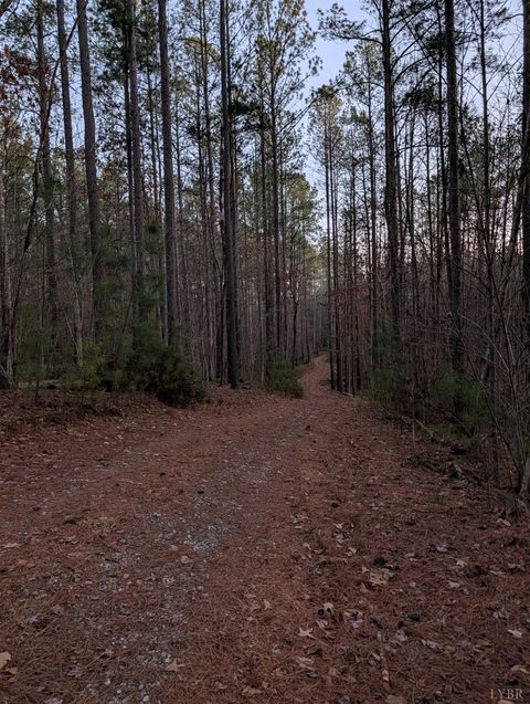 Tiny photo for 4374 Tye River Rd, Amherst, VA 24521 (MLS # 363991)