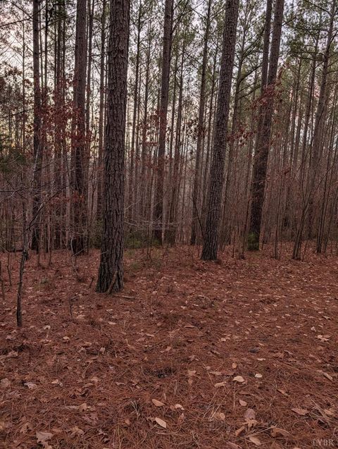 Tiny photo for 4374 Tye River Rd, Amherst, VA 24521 (MLS # 363991)