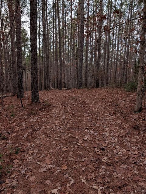 Tiny photo for 4374 Tye River Rd, Amherst, VA 24521 (MLS # 363991)