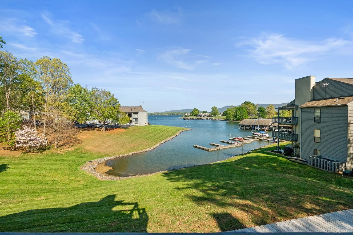 75 Dockside Circle #308, Moneta, Virginia image 48