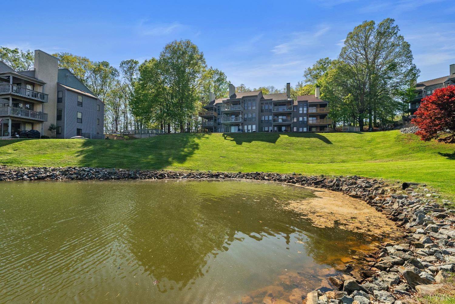 75 Dockside Circle #308, Moneta, Virginia image 33