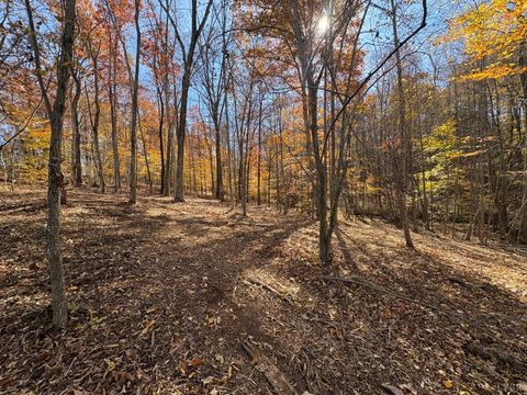 Tiny photo for 9 Richmond Highway, Amherst, VA 24521 (MLS # 362947)