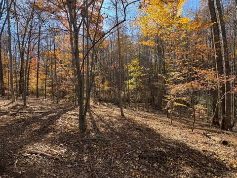 Tiny photo for 9 Richmond Highway, Amherst, VA 24521 (MLS # 362947)