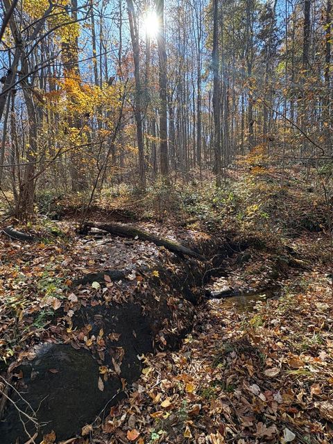 Tiny photo for 9 Richmond Highway, Amherst, VA 24521 (MLS # 362947)