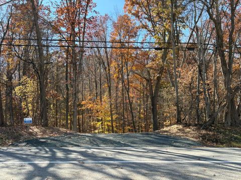 Tiny photo for 9 Richmond Highway, Amherst, VA 24521 (MLS # 362947)