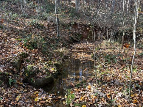 Tiny photo for 9 Richmond Highway, Amherst, VA 24521 (MLS # 362947)